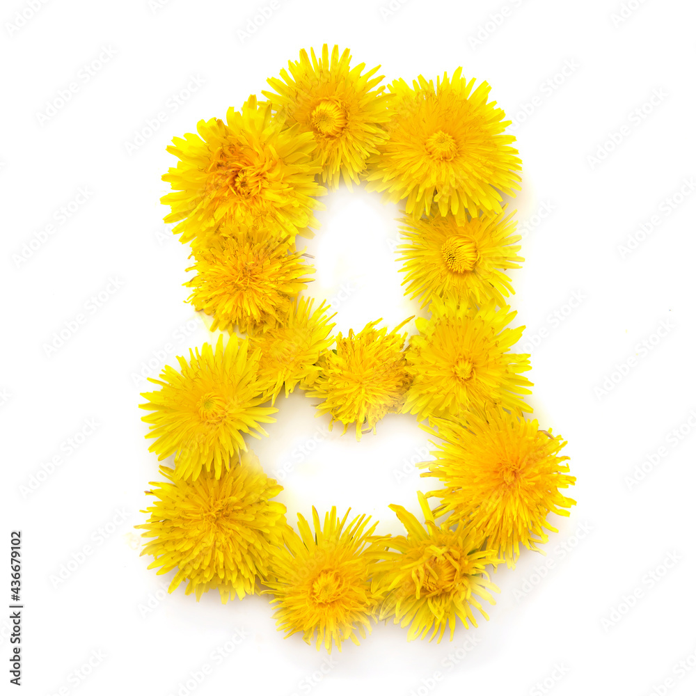 Number 8 of yellow dandelions flowers