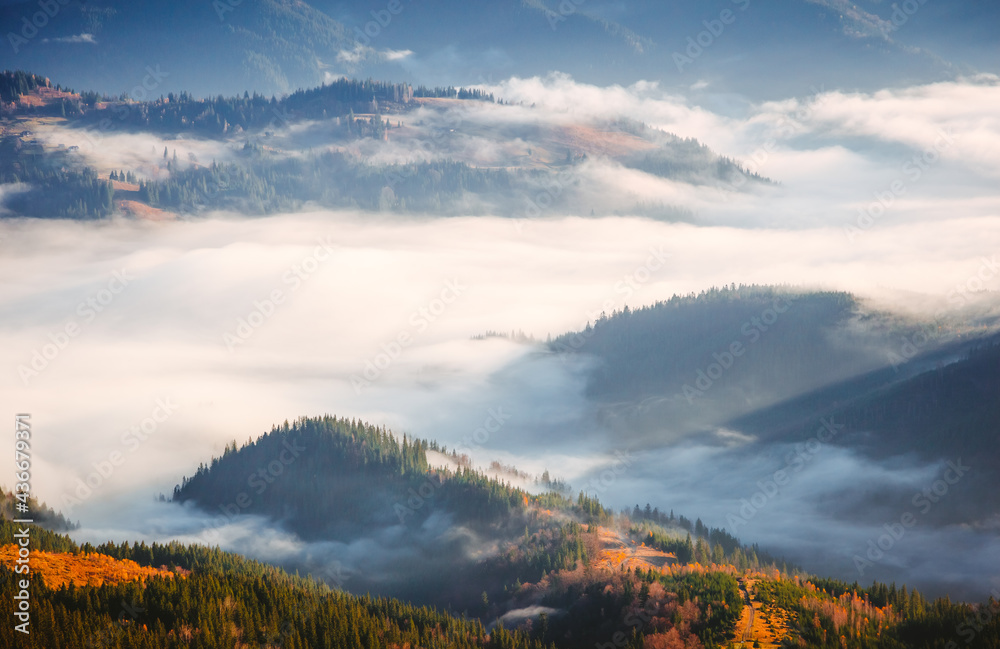 Charming summer scene of a misty valley from a bird's eye view.