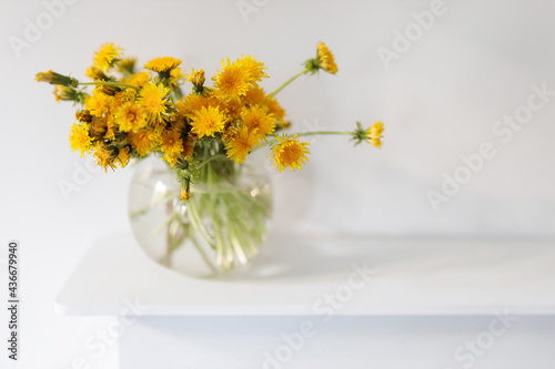 Fototapeta Naklejka Na Ścianę i Meble -  A bouquet of dandelions in a white fluted vase and two cups of different sizes with coffee on a white table.