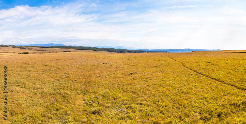 Fototapeta premium Planalto da serra catarinense no Brasil