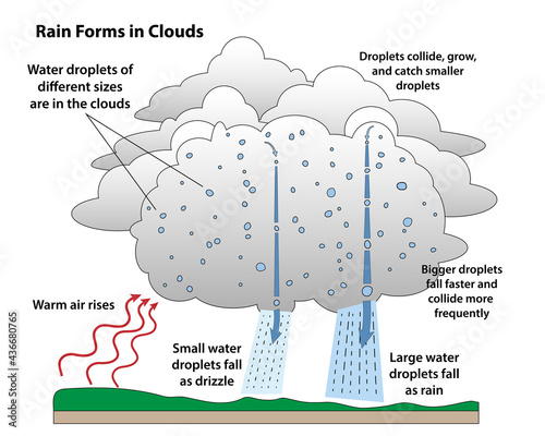 Rain drop formation in a science diagram. How rain forms as warm air rises and condenses. Rain droplets collide and grow.