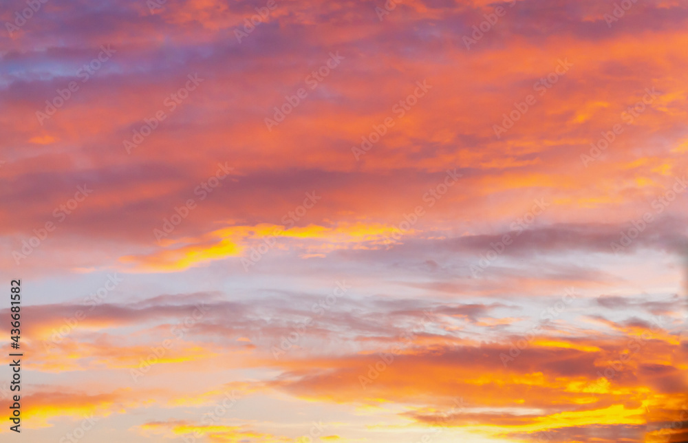 Fototapeta premium Soft, airy sky in the evening with feathery clouds in orange and blue shades