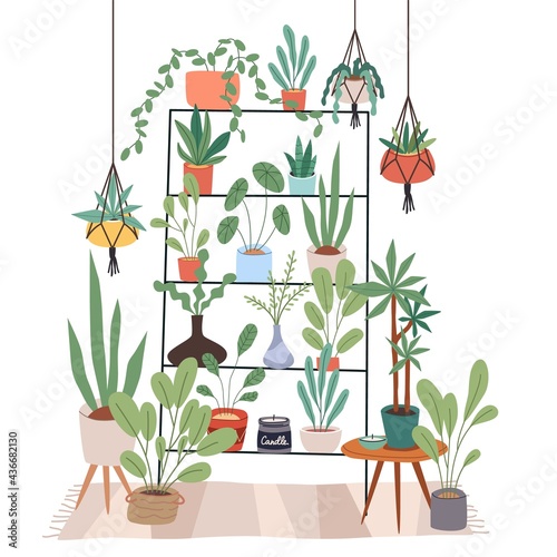 Indoor plants stand. Rack for houseplants. Home garden. Flowers on shelves and hanging pots. Room interior. Minimalist furniture with ficuses and candles. Vector succulents in apartment