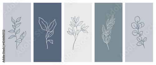 Set of postcards with linear patterns. Floristic pattern. Minimalism