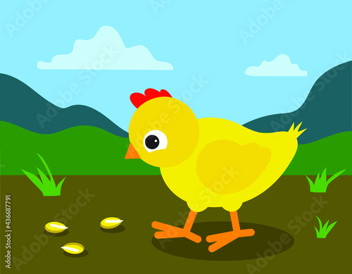 chicken eating corn grains, vector illustration 