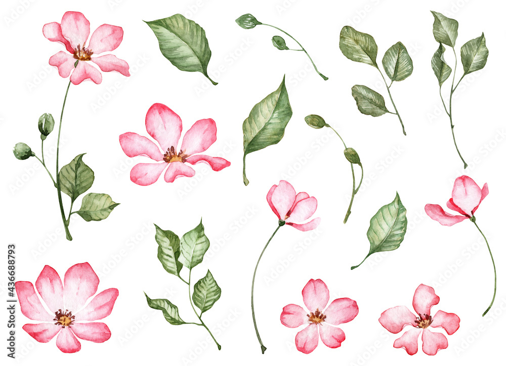 Set of hand painted watercolor rose flowers and leaves Set of hand painted watercolor rose flowers and leaves