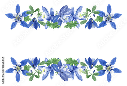 frame of blue aquilegia flowers, watercolor