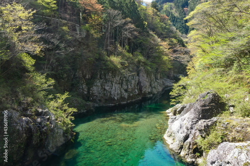 愛媛県久万高原町 面河川の風景