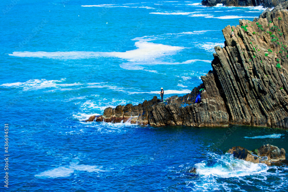 Viste e dettagli delle bellissime Cinque Terre e dell'ambiente naturale che le circonda