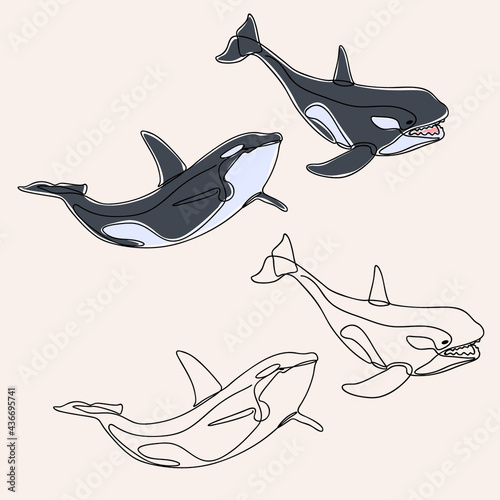 minimalist line art style bundle four orca whale illustration and one line art. creative for wall decoration, postcard or brochure cover design and cover book .editable and suitable for templates.