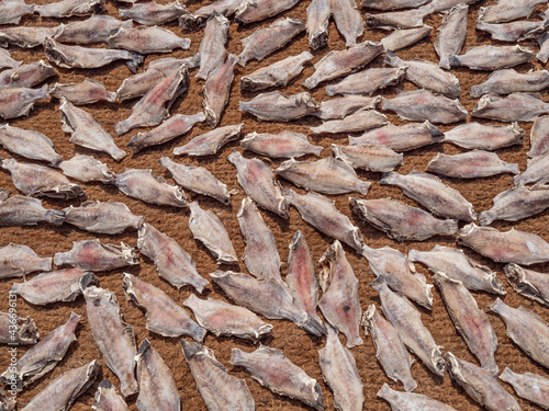 Close up of dried fish