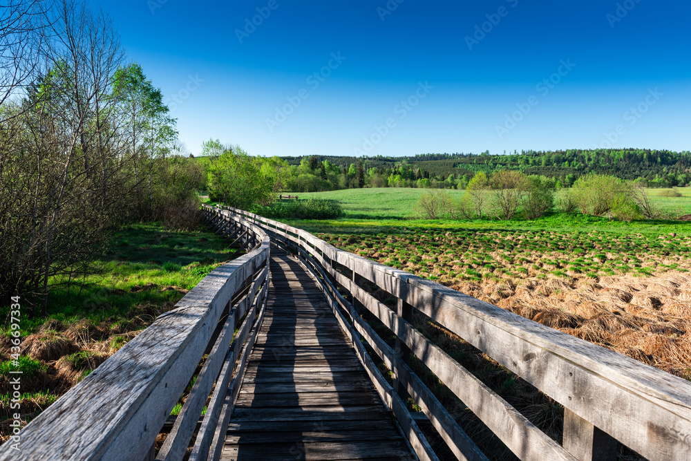 Wooden Footpath in Tarnawa Moors in Bieszczady Park, Poland