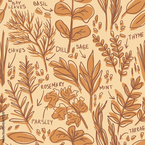 Herbs pattern - hand-drawn childish vector seamless pattern - for kitchen  fabric, wrapping, textile, wallpaper, background.