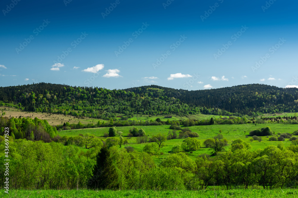 Beautiful Landscape on Poland and Ukraine Border Frontier . Nature in Bieszczady Park.