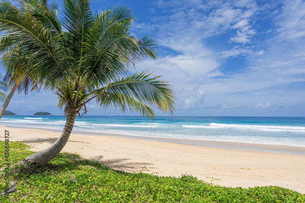 Sea sand beach background Summer beach with sunny sky and coconut tree ...