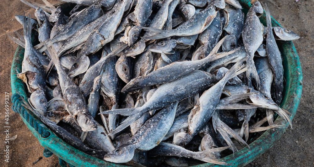 Close up of dry fish