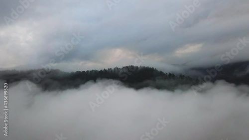 Aerial View on Bavaria Nature Lake Forest 4K