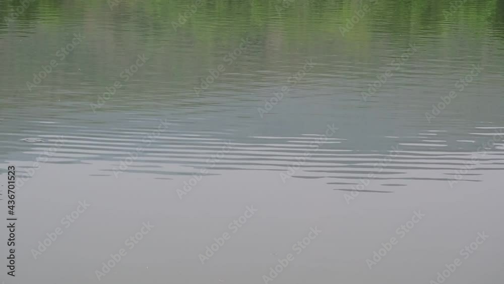 Water surface with waves ripples and reflection of the birds flying. Water surface with waves ripples and reflection of the birds flying.