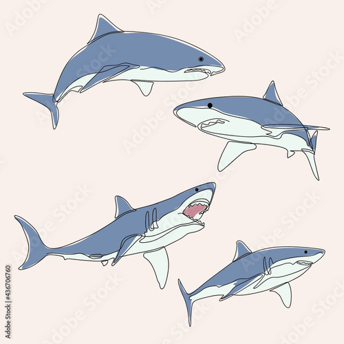 minimalist line art style bundle four shark fish illustration and one line art. creative for wall decoration, postcard or brochure cover design and cover book .editable and suitable for templates.