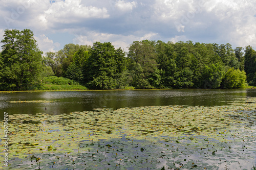 View to Shibaevsky pond in Kuzminki park in Moscow photo