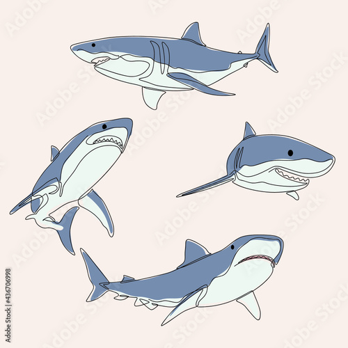 minimalist line art style bundle four shark fish illustration and one line art. creative for wall decoration, postcard or brochure cover design and cover book .editable and suitable for templates.