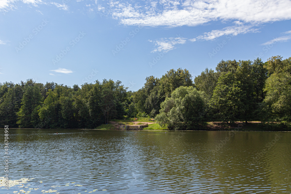 Landscape view of a beautiful wood and pond Landscape view of a beautiful wood and pond