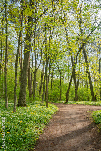 View of the walking trail in spring, Ramsholmen island, Tammisaari, Finland