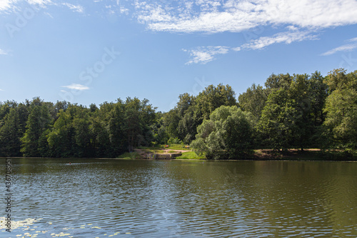 Landscape view of a beautiful wood and pond
