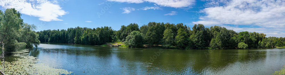 Wide panorama of a beautiful wood and pond