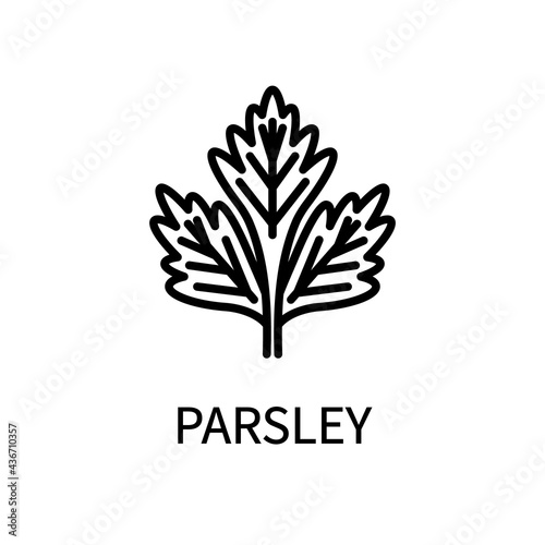 Parsley Line Icon In Simple Style. Healthy Food. Natural Product. Vector sign in a simple style isolated on a white background
