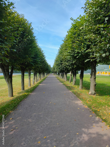 Green alley with footpath in the Kuskovo Estate