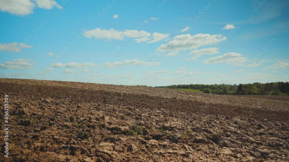 Passage along the edge of a plowed agricultural field. On the horizon is a strip of green forest Above the horizon is a blue sky with clouds. Sunny spring day in Latvia Passage along the edge of a plowed agricultural field. On the horizon is a strip of green forest Above the horizon is a blue sky with clouds. Sunny spring day in Latvia