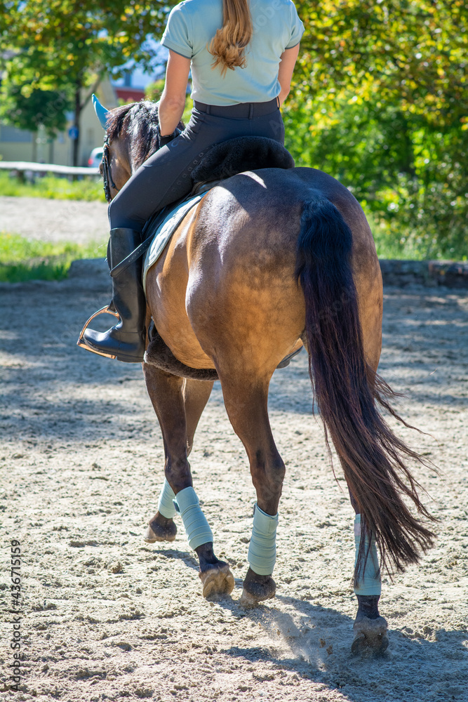 Obraz premium reiten