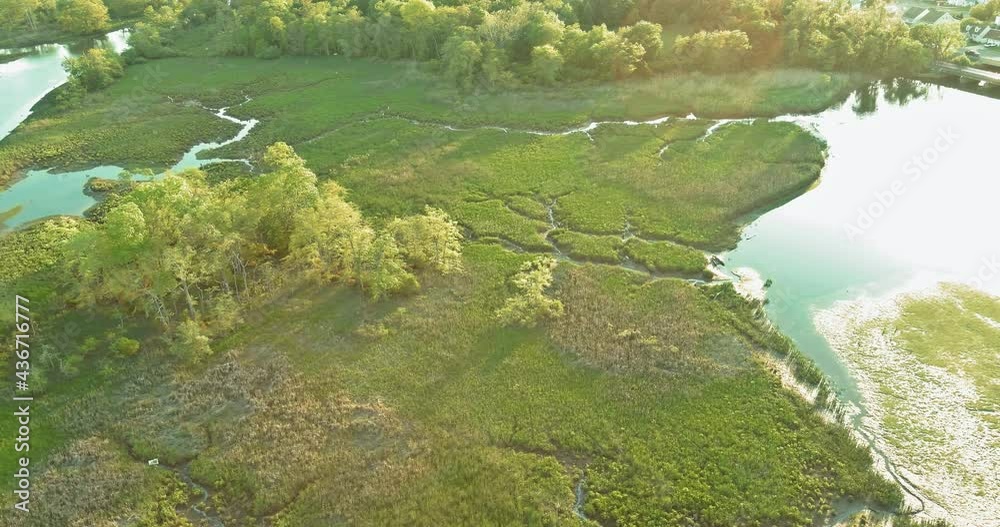 Aerial view of rivers in forests landscape in the summertime. Aerial view of rivers in forests landscape in the summertime.