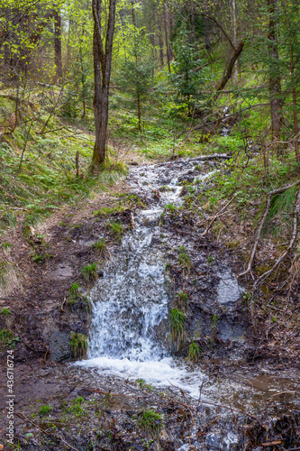 Spring waterfall and stormy stream in siberian forest. Stolby Nature Reserve in Krasnoyarsk, Russia.