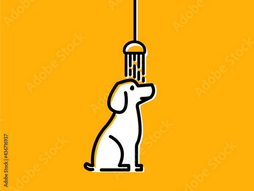 the dog sits and take a shower