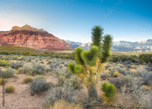 Beautiful landscape seen from Red Rock Canyon outside of Las Vegas Nevada