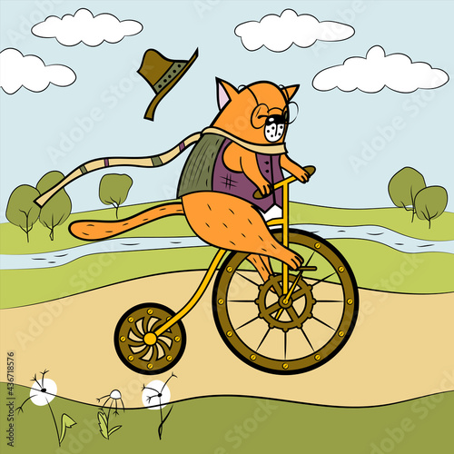 Summer bike ride the happy cat. Animalistic vector picture. Multicolor. Can be used for wallpapers, card, textile, surface textures