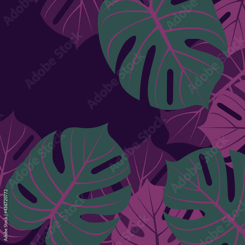 leaves background