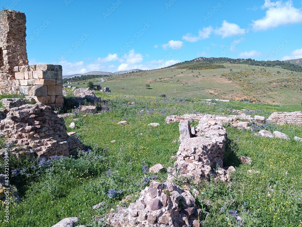 Roman ruins, Awlad Idris (alqasri)suq ahras, Algeria