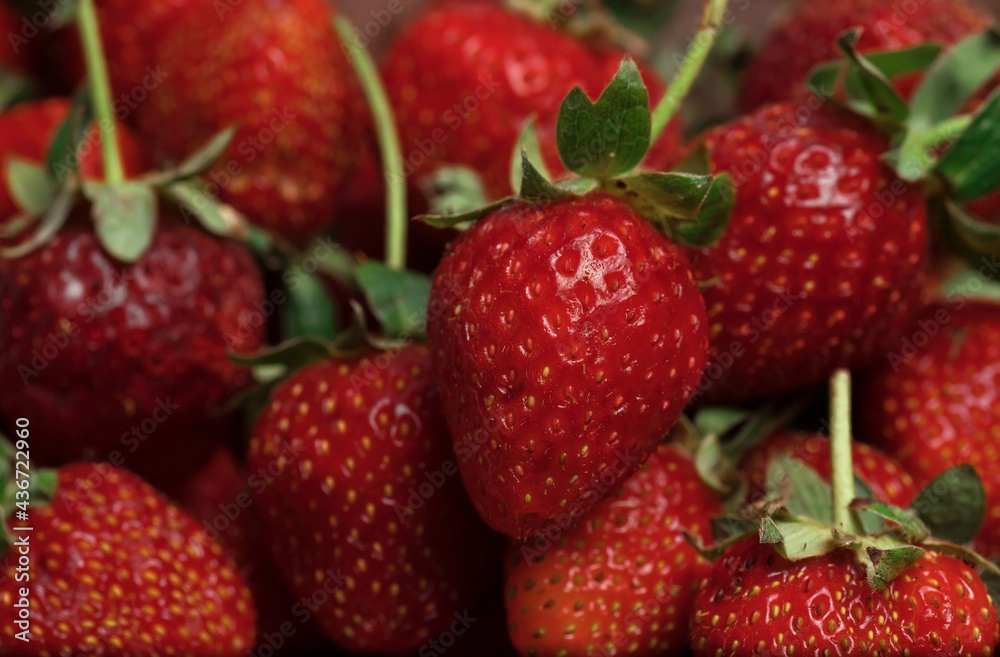 Ripe red strawberries close up Ripe red strawberries close up