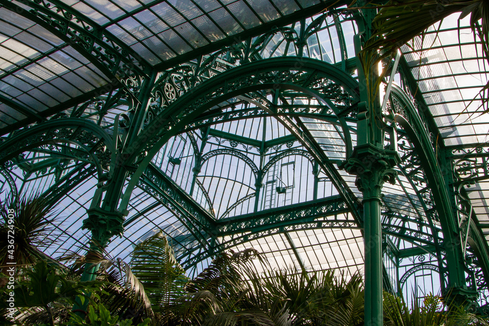 Belgium, Brussels, Royal Greenhouses of Laeken, inside Belgium, Brussels, Royal Greenhouses of Laeken, inside