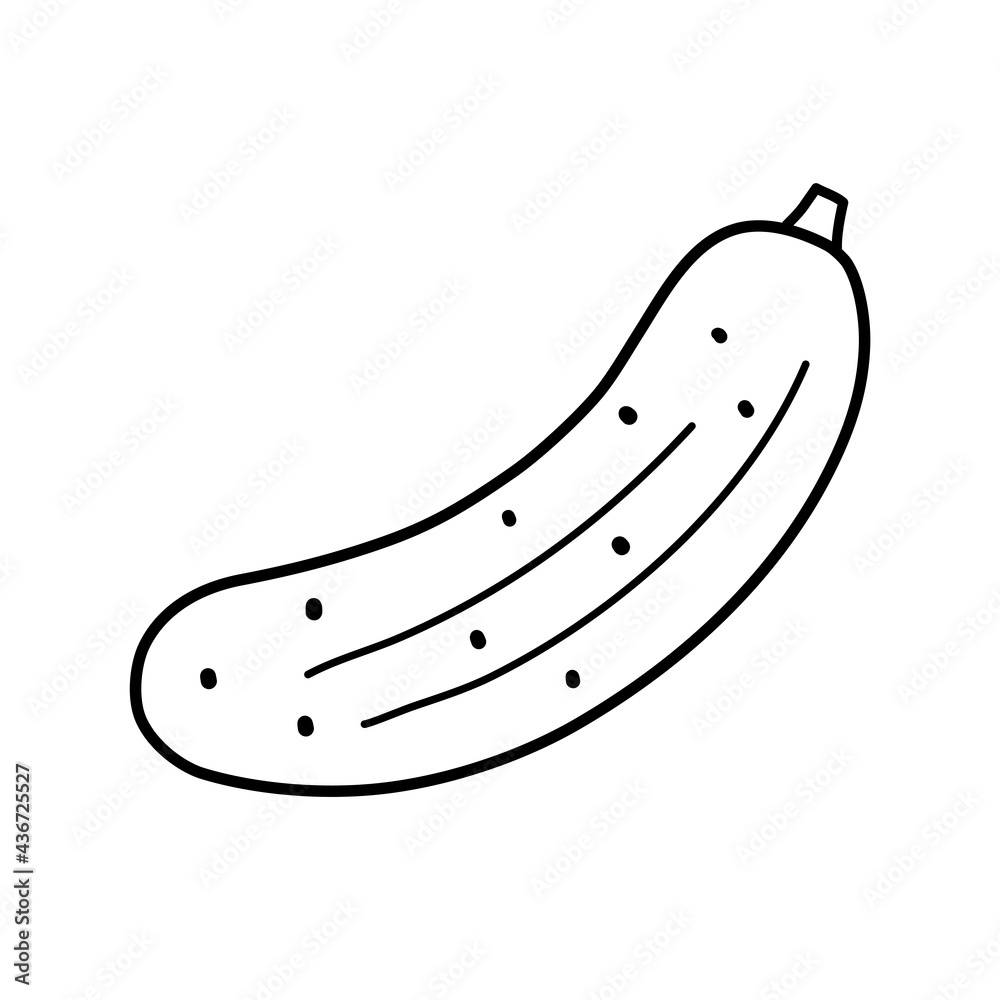 Cucumber in doodle style in black color. Simple vector illustration. Perfect as a decoration, logo or label for a cafe, grocery store, cosmetic product