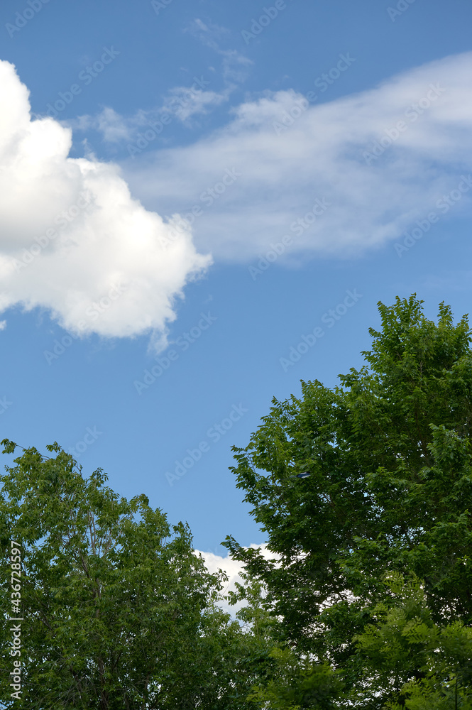 Blue sky with nice clouds and leafy tree leaves in the first place during the summer