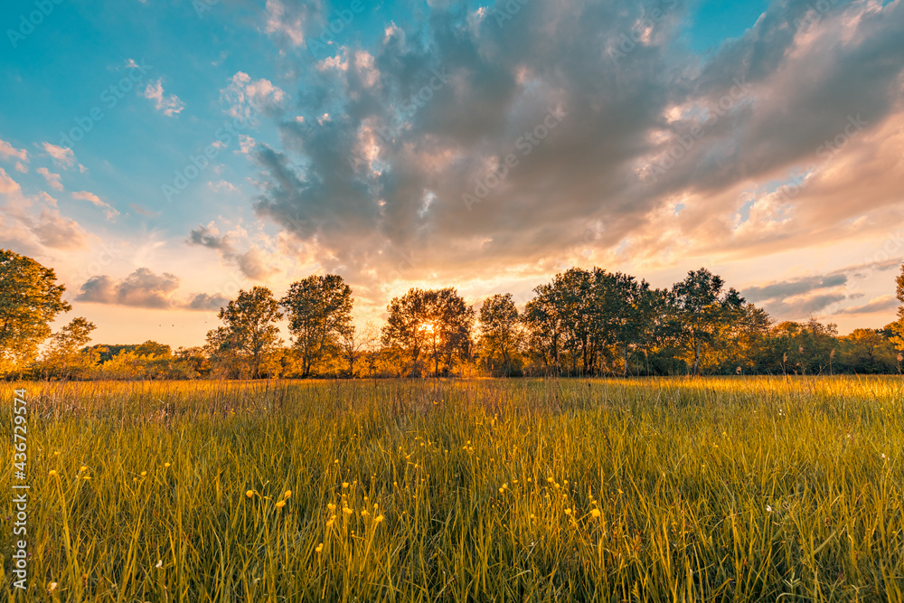Obraz premium Amazing sunset panorama at magical countryside field and meadow. Forest trees with sun rays soft sunset light under colorful sky in the morning. Colorful nature landscape, stunning sunrise foliage