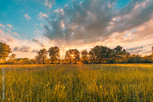 Amazing sunset panorama at magical countryside field and meadow. Forest trees with sun rays soft sunset light under colorful sky in the morning. Colorful nature landscape  stunning sunrise foliage