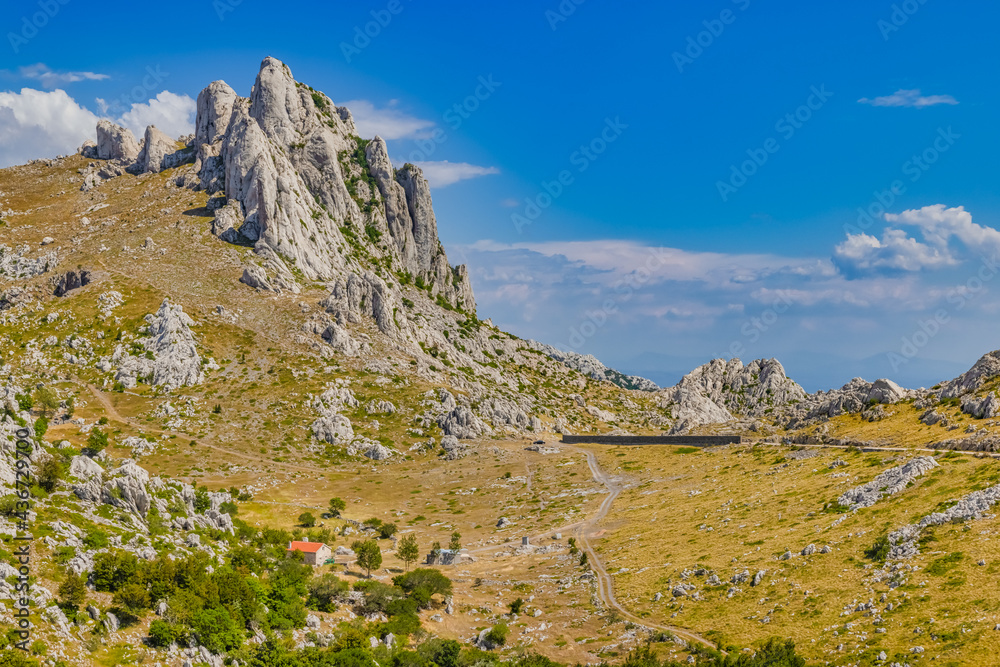 Mountain nature green scene in summer time