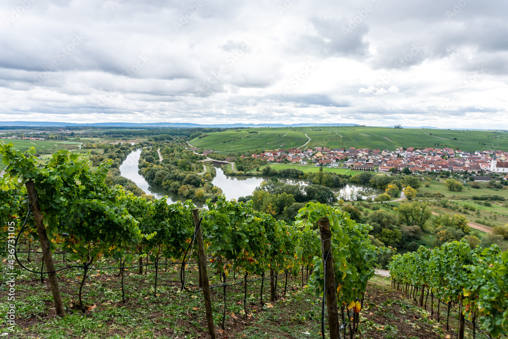 Mainschleife in Germany, view onto the river Main and the beautiful wine area