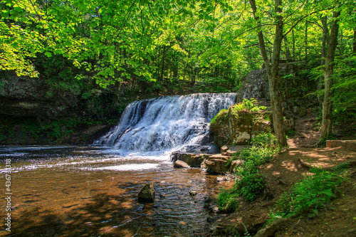 Fototapeta Naklejka Na Ścianę i Meble -  Flowing waterfall in a green forest in the summer