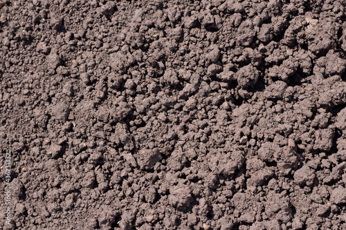 Soil texture background. Fertile land top view
